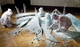 Bild von Berengo: 30 Years in Glass
