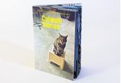 Bild von Catwalk Stories